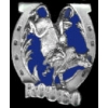 BULLRIDER RODEO CAST PIN